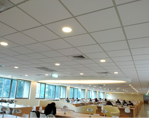 Pvc Gypsum Ceiling Board 154