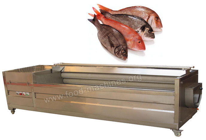 Fish Scaling Machine - AZSFS800/AZSFS1200/AZSFS1500