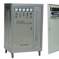 Large picture SBW DBW Compensating Power Voltage Stabilizer