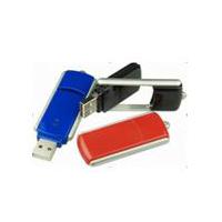 Large picture USB Flash Drive
