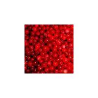 Large picture iqf wild lingonberry (sales6 at lgberry)