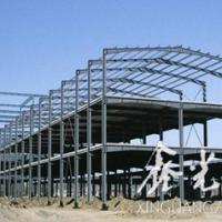Large picture steel commercial building