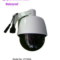 Large picture Mini High Speed Dome IP Camera