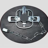 Large picture Coil Spring Trap