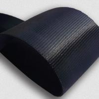 Polyester seatbelt webbing