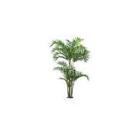 Artifical Palm Tree (Artifical Plant)