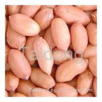 Large picture peanut kernels 24/28