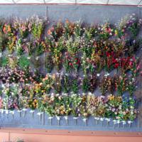 Large picture Artificial flowers and plants