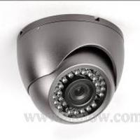 Large picture Dome camera