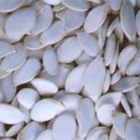 Large picture Pumpkin Seeds