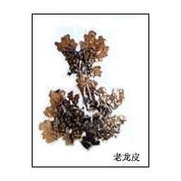 Large picture lung lichen extract
