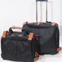 Large picture travel bag, briefcase
