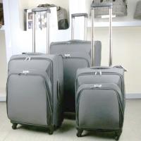 Large picture luggage