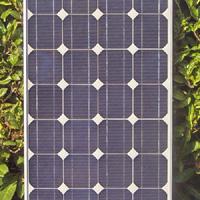 Large picture Mono-crystalline Photovoltaic (PV) Solar Panel