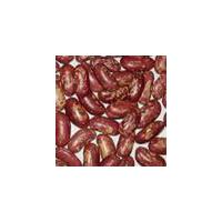 Large picture Red Speckled Kidney beans