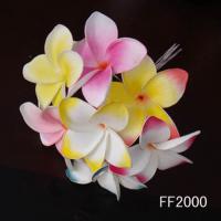 Large picture artificial flower,artificial frangipani