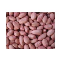 Large picture peanut products
