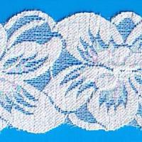 Large picture Elastic lace