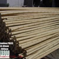 Large picture bamboo pole, bamboo rug, bamboo stick, bamboo cane