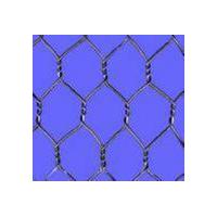 Large picture Hexagonal wire netting