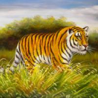 Large picture Animal oil Painting