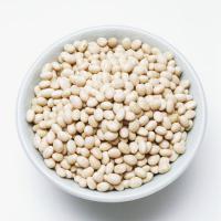 Large picture Organic Haricot Beans