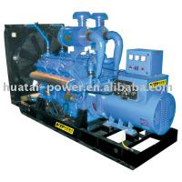 Large picture electric generator