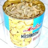 Large picture 2840g Canned Mushroom