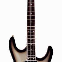 Large picture electric guitar LS-33 ST
