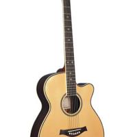 Large picture acoustic guitar LMJG-17 R-C