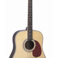 Large picture acoustic guitar LDG-17 R