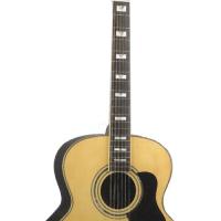 Large picture acoustic guitar LJG-27 R-12