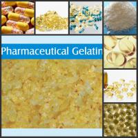 Large picture Pharmaceutical Grade Gelatin