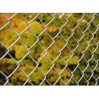 Large picture chain link fence