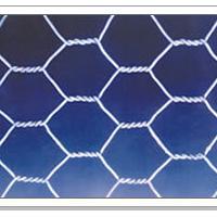 Large picture hexagonal wire mesh