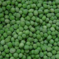 Large picture IQF green peas