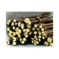 Large picture licorice extract