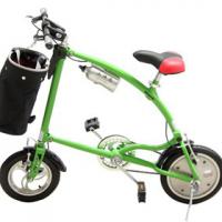 Large picture folding bicycle(ERT-W)
