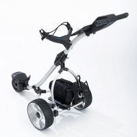 Large picture 601T Amazing electrical golf buggy