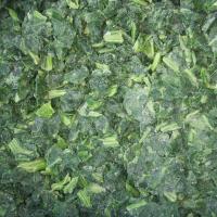 Large picture IQF spinach