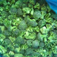 Large picture IQF broccoli florets