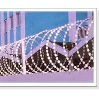 Large picture Razor Wire