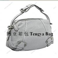 Large picture ladies bag