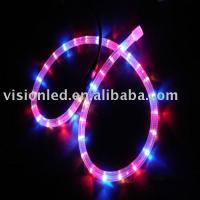 Large picture LED Rope Light