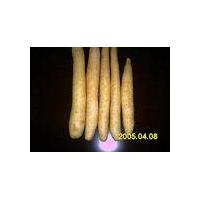 Large picture wild yam extract (info3@sports-ingredient.com)