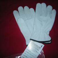 Large picture Driver Gloves