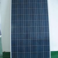 Large picture Poly-crystalline Silicon Solar Panel