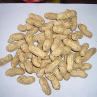 Large picture PEANUTS
