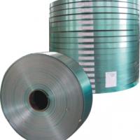 Large picture copolymer coated steel tape