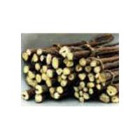 Large picture Licorice Root Extract
